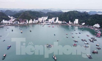 Hải Phòng đấu giá tài sản để làm khu du lịch cao cấp ở Cát Bà