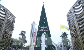 Nhìn gần cây thông Noel ‘khủng’ cao hơn tòa nhà 10 tầng ở xứ Nghệ