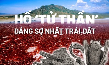Hồ tử thần đáng sợ khiến mọi sinh vật rớt xuống đều 'hóa đá' bí ẩn