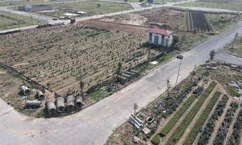 Chủ tịch Hà Nội yêu cầu chấm dứt 14 dự án 'ma' tại huyện Mê Linh