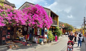Thường trực Chính phủ: Nâng thời gian lưu trú với khách quốc tế lên 45 ngày