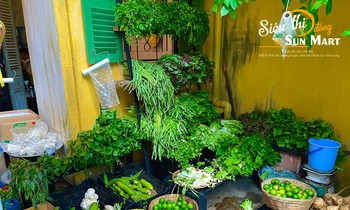 Chàng sinh viên về quê nhà Vĩnh Long mở “siêu thị 0 đồng” giúp người nghèo
