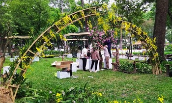 'Rừng lan' được trưng bày trong ‘Festival Hoa lan lần II’ sẽ là dịp cho bạn trẻ Sài Gòn check-in