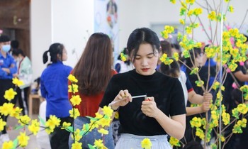 Sinh viên trổ tài trang trí mai, đào ngày Tết