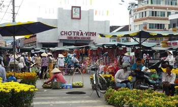 Giấc mơ tháng Chạp