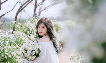 Nàng mẫu ảnh sinh năm 2000 khoe nhan sắc trong trẻo giữa vườn cúc họa mi