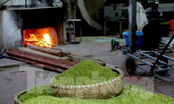 Làng Mễ Trì 'đỏ lửa' rộn ràng vào vụ cốm lớn nhất trong năm