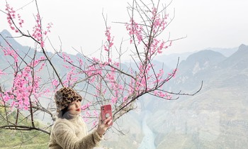 Giới trẻ nô nức check-in Mã Pì Lèng và hẻm Tu Sản ngày đầu xuân