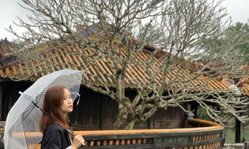 Sinh viên quê Quảng Ninh nói gì khi dịch bệnh COVID-19 tràn về trước Tết Nguyên Đán?