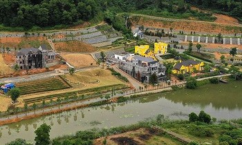 Có cán bộ diện Thành ủy quản lý 'dính' sai phạm đất rừng Sóc Sơn