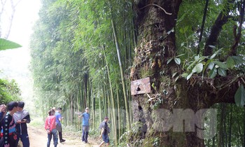 Sải bước ở Lai Châu: Lên bản 'suối có vàng'