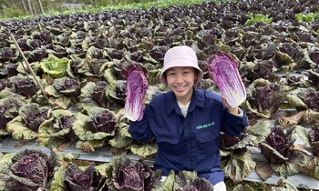 Bỏ công việc thành phố về rừng 'livetream' bán hàng nông sản