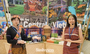 Những 'bóng hồng' tình nguyện viên