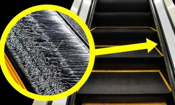 Phần lông bàn chải ở 2 bên thang cuốn có thật sự để làm sạch giày?