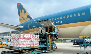 Gần 100 tấn vải thiều xuất ngoại chỉ trong 5 ngày