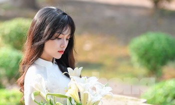 Hoa loa kèn xuống phố dịu dàng tinh khôi gọi tháng tư về