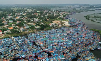 Thuyền neo tại cảng Sa Kỳ tránh bão Molave năm 2020. Ảnh: NN