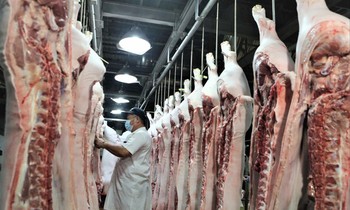 Trong Khi xuất khẩu nhỏ giọt, VN chi cho tới rộng lớn 2 tỷ USD nhằm nhập vào thịt, những thành phầm thịt vô 7 mon qua loa 