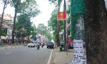 Việc quấn cỏ nhân tạo vẫn không thể ngăn chặn triệt để hành vi dán quảng cáo rao vặt ảnh: Hữu Huy
