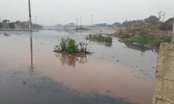 Bắc Giang, Bắc Ninh bàn cách xử lý vụ sông Cầu đang 'giãy chết'