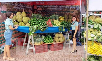 Hội nông dân Đắk Lắk kêu gọi xóa bỏ thói quen 'rau 2 luống, lợn 2 chuồng'