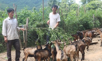 Hành trình xóa bỏ hủ tục trong tang lễ của đồng bào Mông ở Thanh Hóa