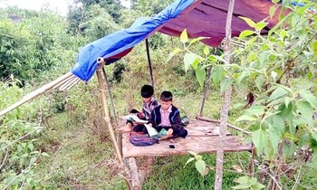 Xồng Bá Dần và Xồng A Thành học trực tuyến trên lán dựng tạm ở bản Mường Lống, xã Tri Lễ, huyện Quế Phong, Nghệ An