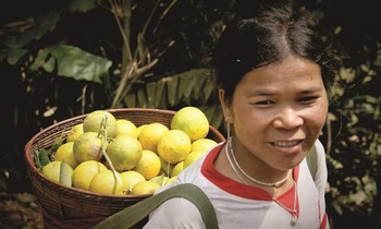 Bà con Cơ Tu ở biên giới Quảng Nam vào mùa 'trái vàng đặc sản'