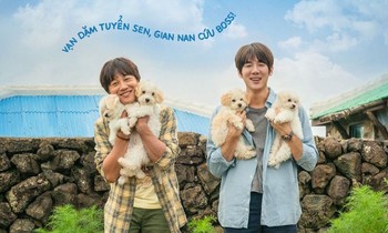 Phim hay chiếu rạp: Yoo Yeon Seok, Cha Tae Hyun tìm nhà cho “boss cưng”