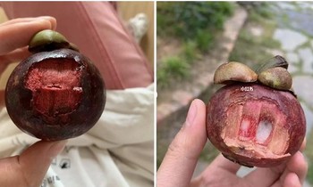 Một người Trung Quốc kêu trời vì măng cụt “vừa đắt vừa đắng”, hóa ra có cách ăn quá bất ngờ