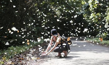 Vườn quốc gia Cúc Phương được vinh danh