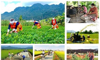 Tháo gỡ vướng mắc triển khai các chương trình mục tiêu quốc gia