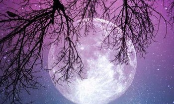 Trăng tròn tháng 9: Cơ hội phát triển ở lĩnh vực nghệ thuật cho 12 chòm sao, đừng bỏ lỡ!