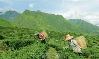 Tìm kiếm cơ hội việc làm phi nông nghiệp cho đồng bào dân tộc thiểu số