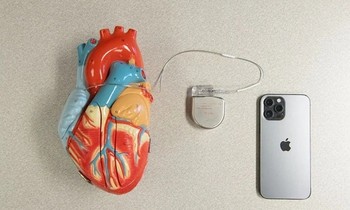 Cảnh báo: Nên giữ các thiết bị Apple cách ngực tối thiểu 15 cm để đảm bảo sức khỏe