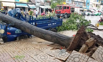 Giông lốc làm cây ngã khắp Sài Gòn, đè bẹp ô tô, lốc mái nhà dân