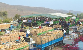 Xe tải chở hàng hóa xuất khẩu ở biên giới Myanmar-Trung Quốc. Ảnh: Myanmar Now.