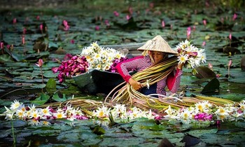 Cuộc thi viết Trà sữa cho tâm hồn: Một cô gái Bắc đã phải lòng miền Tây