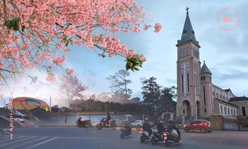 Dẫu mai anh đào đang mùa nở rộ, Đà Lạt những ngày cuối năm vẫn vắng lặng lạ thường