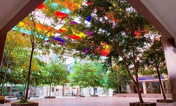 Góc “trường nhà người ta”: Teen yên tâm học hành, nắng nóng đã có thầy cô lo!