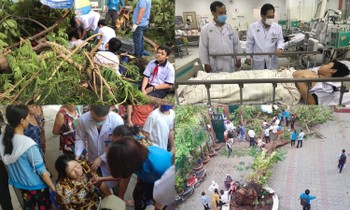 Toàn cảnh vụ cây phượng bật gốc đè vào người học sinh gây thương vong tại trường Bạch Đằng