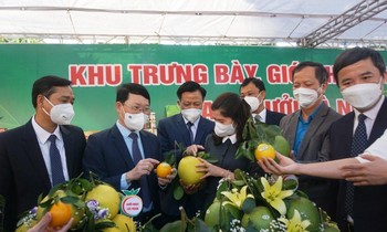 Lãnh đạo tỉnh Bắc Giang thăm các gian hàng trưng bày tại hội nghị