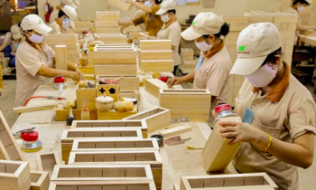 Nhiều doanh nghiệp gỗ bị chậm hoàn thuế VAT.