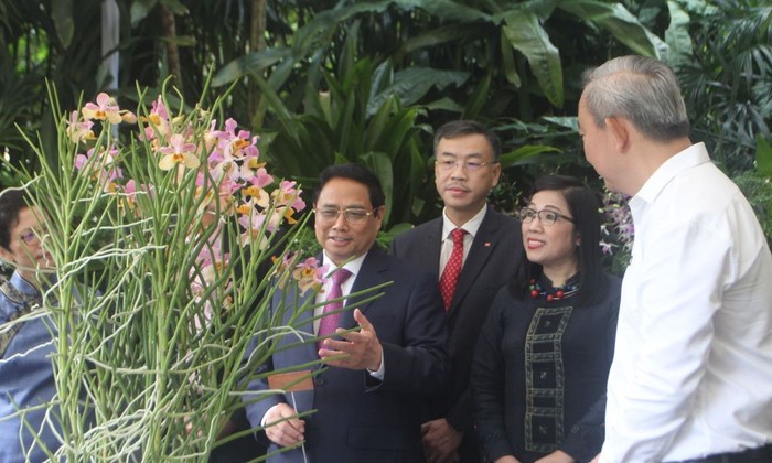 Singapore lấy tên Thủ tướng Phạm Minh Chính và Phu nhân đặt cho loài hoa lan mới