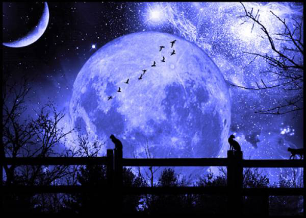 Blue Moon and Star Wallpapers  Top Những Hình Ảnh Đẹp