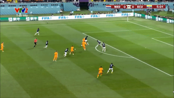 Highlights Hà Lan 1-1 Ecuador: Lốc cam bị chặn đứng