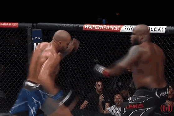 Hạ knock-out ‘Quái thú đen’, võ sĩ Pháp giành chức vô địch UFC hạng nặng
