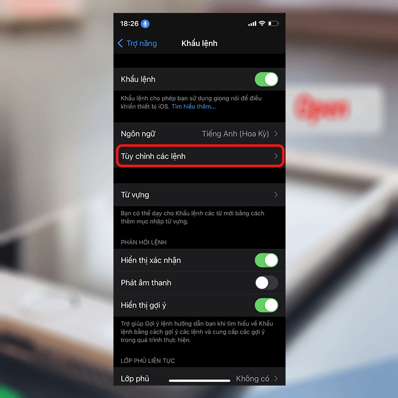 Cập nhật ngay: Mở khóa iPhone cực dễ dàng bằng giọng nói, bạn đã biết cách chưa? ảnh 4