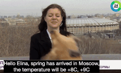 Nữ MC thời tiết Nga bị chó cướp micro khi đang dẫn trực tiếp