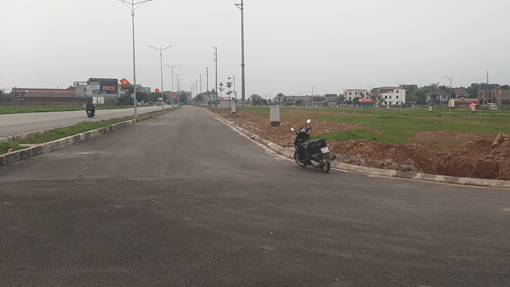 Nhà đầu tư ‘đua nhau’ bỏ cọc đấu giá đất ở các tỉnh sốt nóng